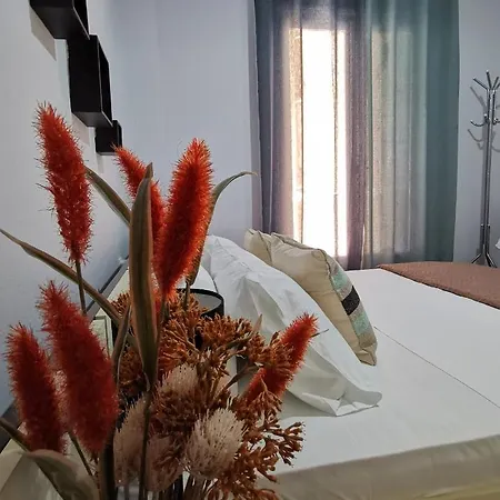 Helena's House شقة